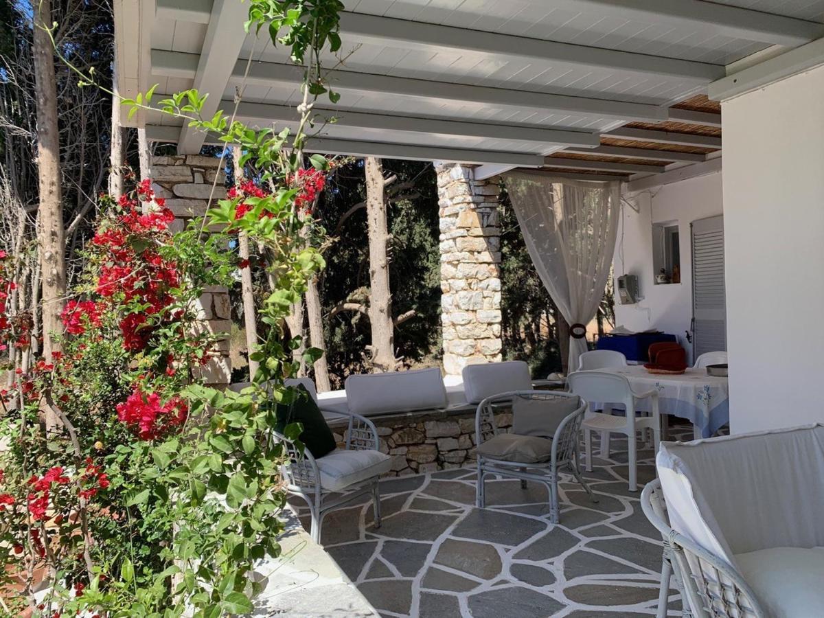 חריסי אקטי Kiki'S Apartment Veranda Dream מראה חיצוני תמונה